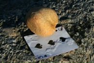 Оксана Мєльзарек фотография #47 (источник - https://vk.com/id13762583)