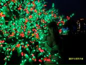 Фотография Логманян Екатерины