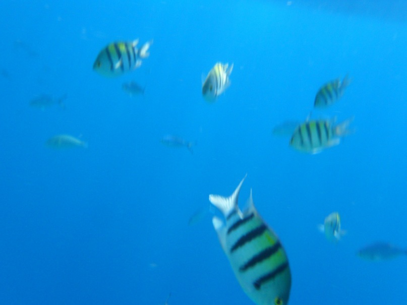 Оксана Боброва фотография #37