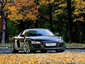 Фотография Петрова Андрея