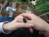 Фотография Лазарева Владислава