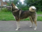 Лайма Ремінська фотография #12 (источник - https://vk.com/id108747419)