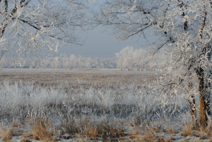 Yuri Bishaev фото №4