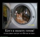 Антон Степанов фотография #48 (источник - https://vk.com/id628018)