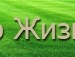 Міша Триндяк фотография #10 (источник - https://vk.com/id92660645)