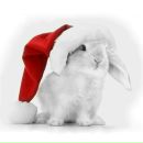 Андрій Думінкевич фотография #49 (источник - https://vk.com/id15940956)