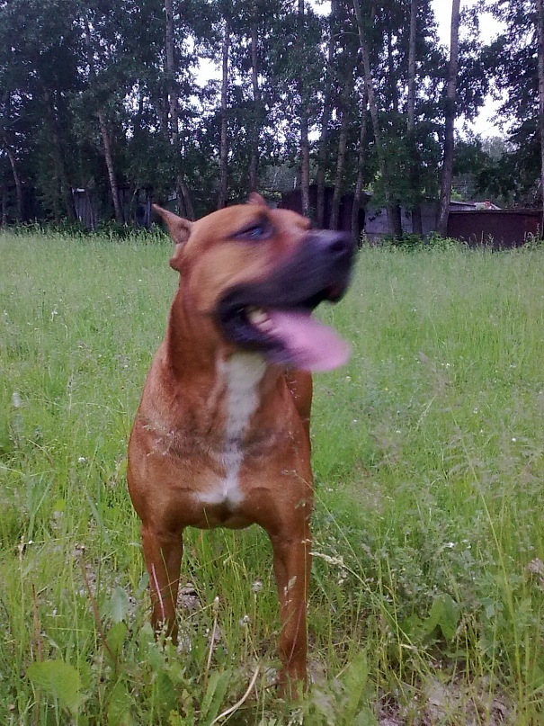 Михаил Сидоров фотография #15
