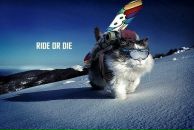 Фотография Rybalko Andrey