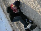 Фотография Bibik Artem