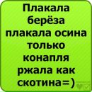Іван Чорнописький фотография #19 (источник - https://vk.com/id141155567)