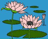 Вікторія Фацієвич фотография #24 (источник - https://vk.com/id65764672)