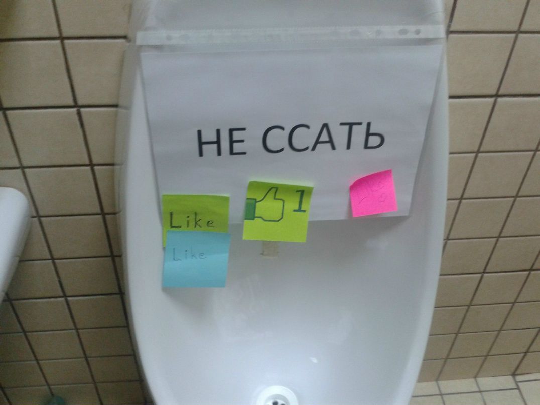 Виталий Плотников фотография #23