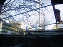 Володя Чорній фотография #11 (источник - https://vk.com/id62168485)