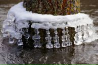 Елена *** фотография #1