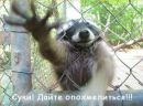 Міша Походило фотография #28 (источник - https://vk.com/id153967118)