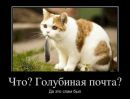 Олег Цебрій фотография #38 (источник - https://vk.com/id12879670)