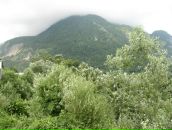 Андрей Воробьев фотография #32 (источник - https://vk.com/id20120766)