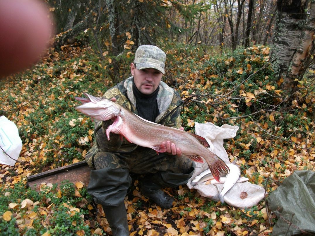 Эльдар Алекперов фотография #49