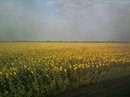 Ірина Габрівська фотография #27 (источник - https://vk.com/id149212563)