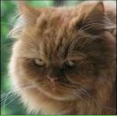 Фотография Горяновой Галины