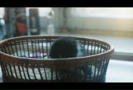 Фотография Клопа Гальки