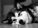 Любовь Κарасева фотография #17 (источник - https://vk.com/id154786915)