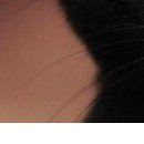 Viki @@@@@@@@@ фотография #28 (источник - https://vk.com/id141663195)