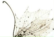 Фотография Алёхиной Айны