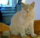 Фотография Рыбцевой Татьяны