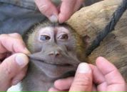 Фотография Григорьевой Арины