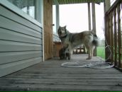 Андрей Арестов фотография #42 (источник - https://vk.com/id376718)