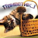 Людмила Оленіч фотография #1