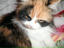 Фотография Иштар Марины