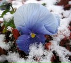 Фотография Шилковой Анны