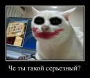 Фотография Саша Василевский