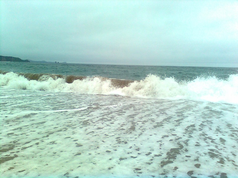 Яна Коваленко фотография #47