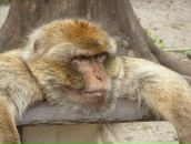 Фотография Яшиной Ольги