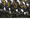 Ірина Златова фотография #44 (источник - https://vk.com/id154902463)