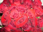 Фотография Вакулиной Тани