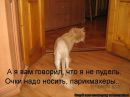 Сергій Шевчук фотография #31 (источник - https://vk.com/id132780151)