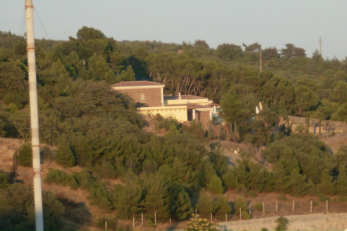 Дима Дима фотография #27