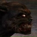 Фотография Матенкова Михаила