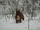 Дим Димыч фотография #5 (источник - https://vk.com/id167311256)