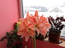 Сергій Ридліцький фотография #2 (источник - https://vk.com/id142160548)