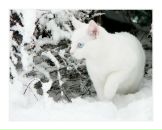 Фотография Фатеевой Татьяны