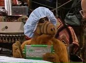 Фотография Шестухина Дениса