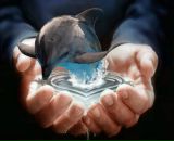 Фотография Сулевской Марии