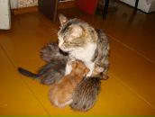 Фотография Позитивной Надин