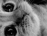 Викуська ♥ фотография #32 (источник - https://vk.com/id136463168)