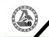 Фотография Соколова Юлия